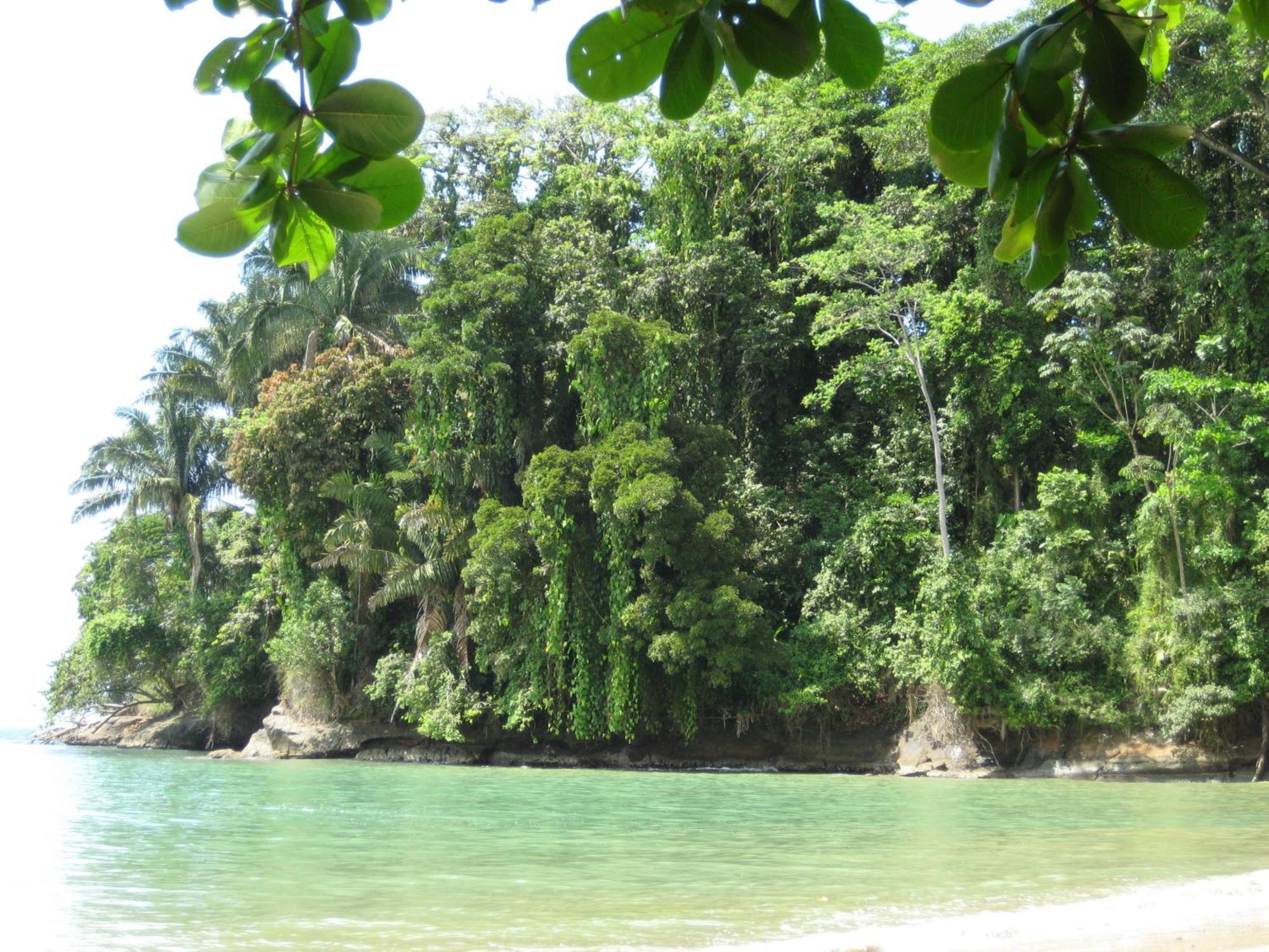 El Tucan Jungle Lodge Puerto Viejo de Talamanca Ngoại thất bức ảnh