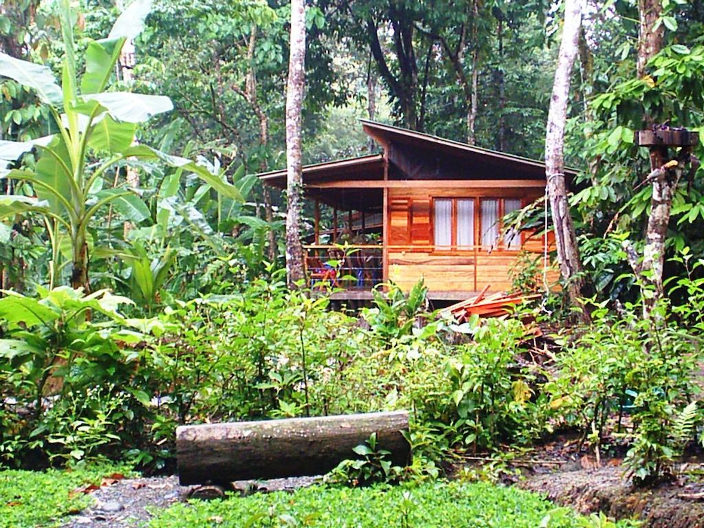 El Tucan Jungle Lodge Puerto Viejo de Talamanca Ngoại thất bức ảnh
