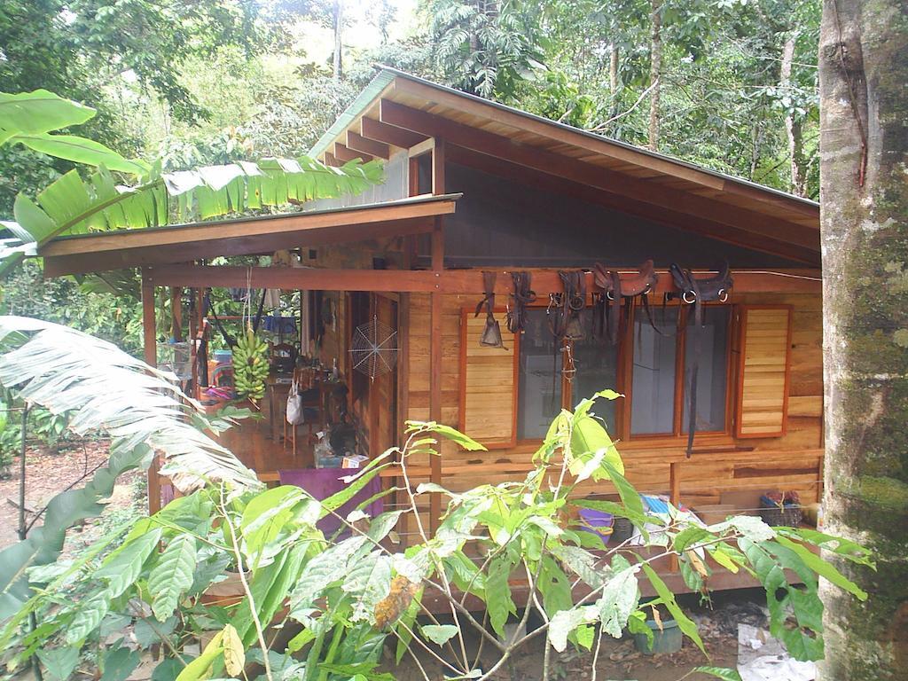 El Tucan Jungle Lodge Puerto Viejo de Talamanca Phòng bức ảnh
