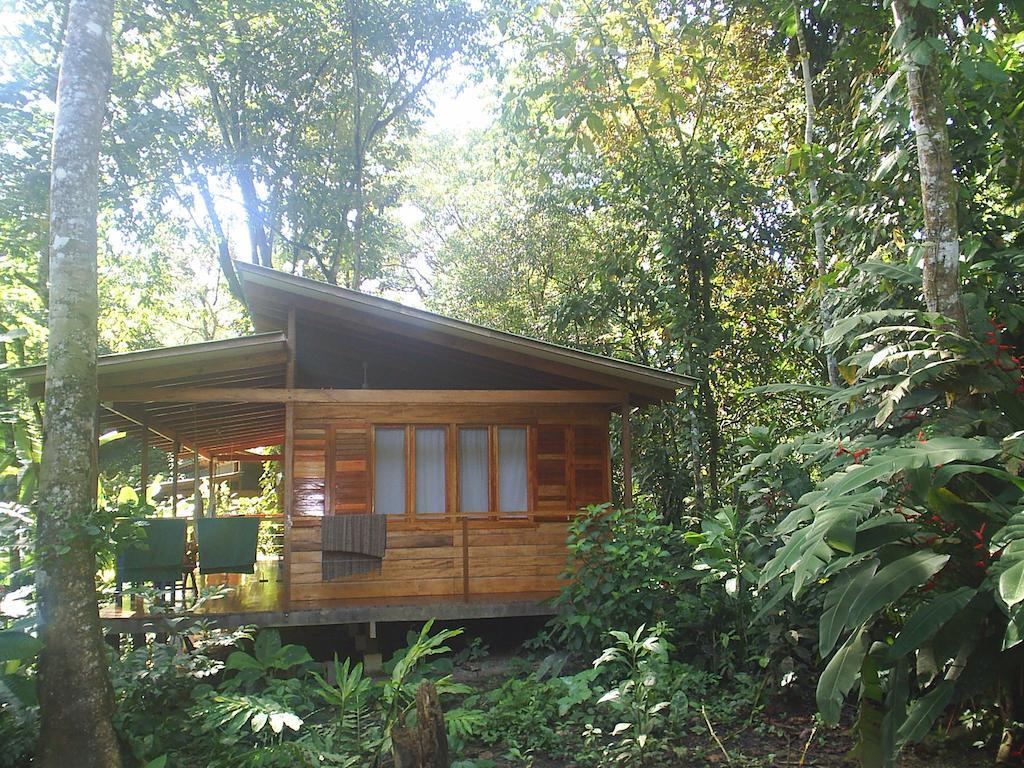 El Tucan Jungle Lodge Puerto Viejo de Talamanca Phòng bức ảnh