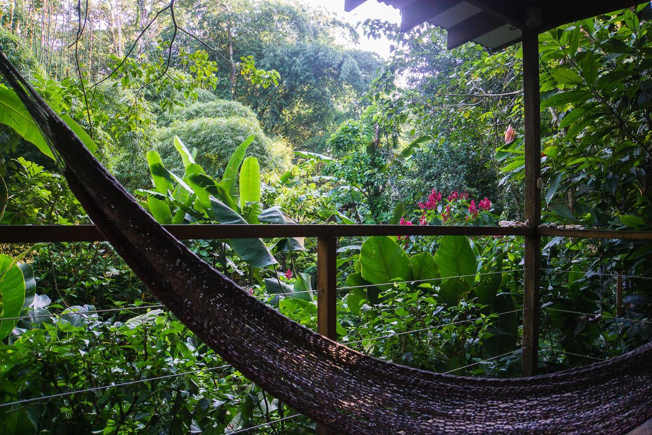 El Tucan Jungle Lodge Puerto Viejo de Talamanca Ngoại thất bức ảnh