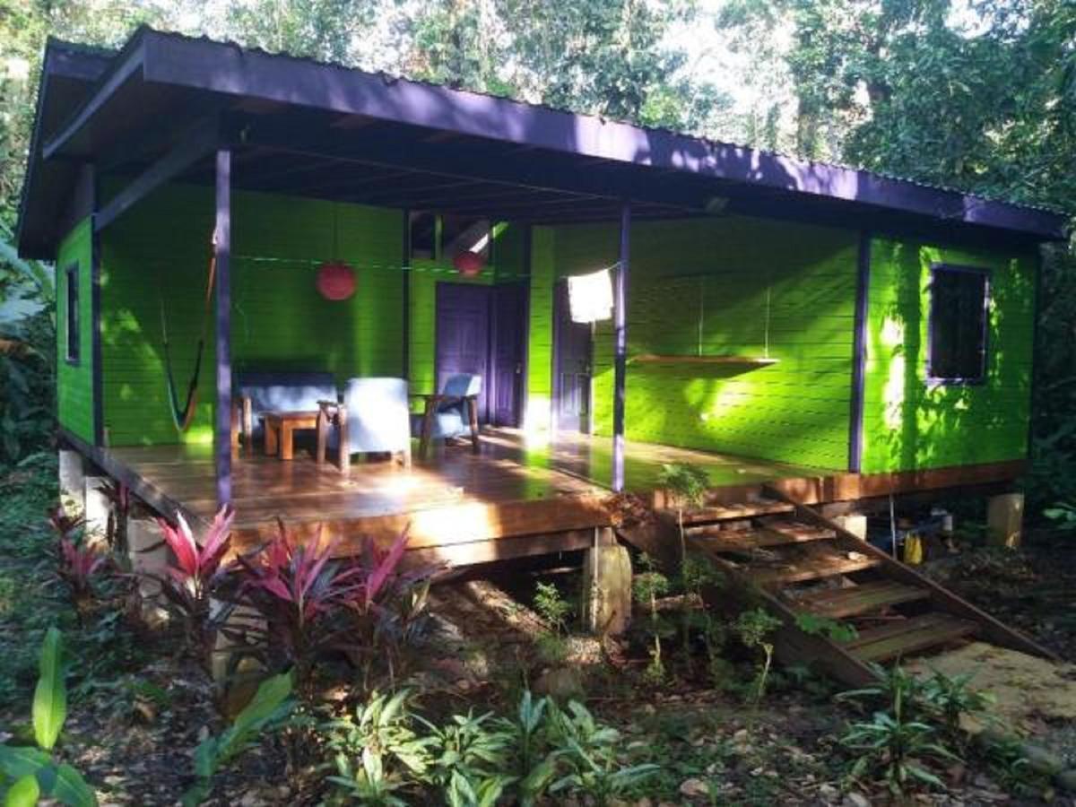 El Tucan Jungle Lodge Puerto Viejo de Talamanca Ngoại thất bức ảnh