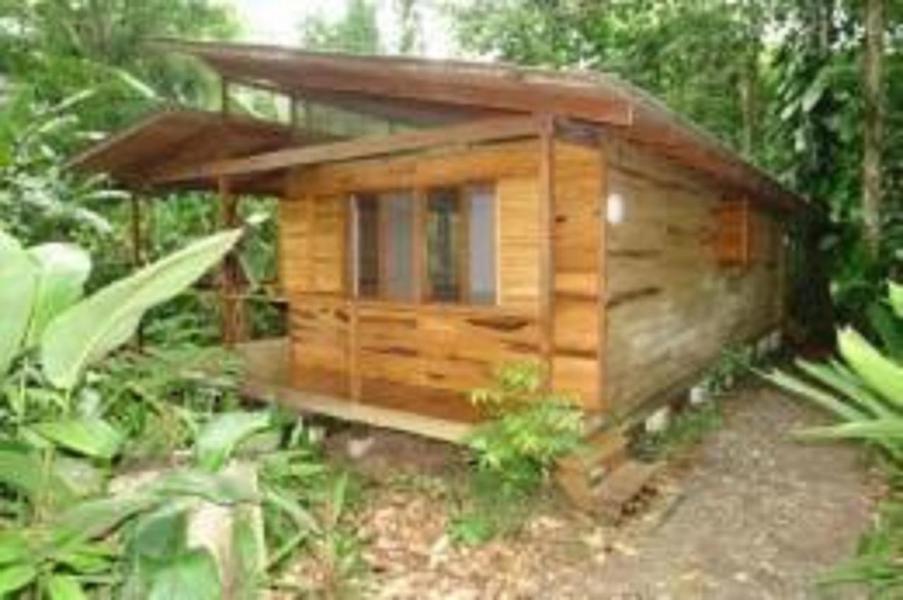 El Tucan Jungle Lodge Puerto Viejo de Talamanca Ngoại thất bức ảnh