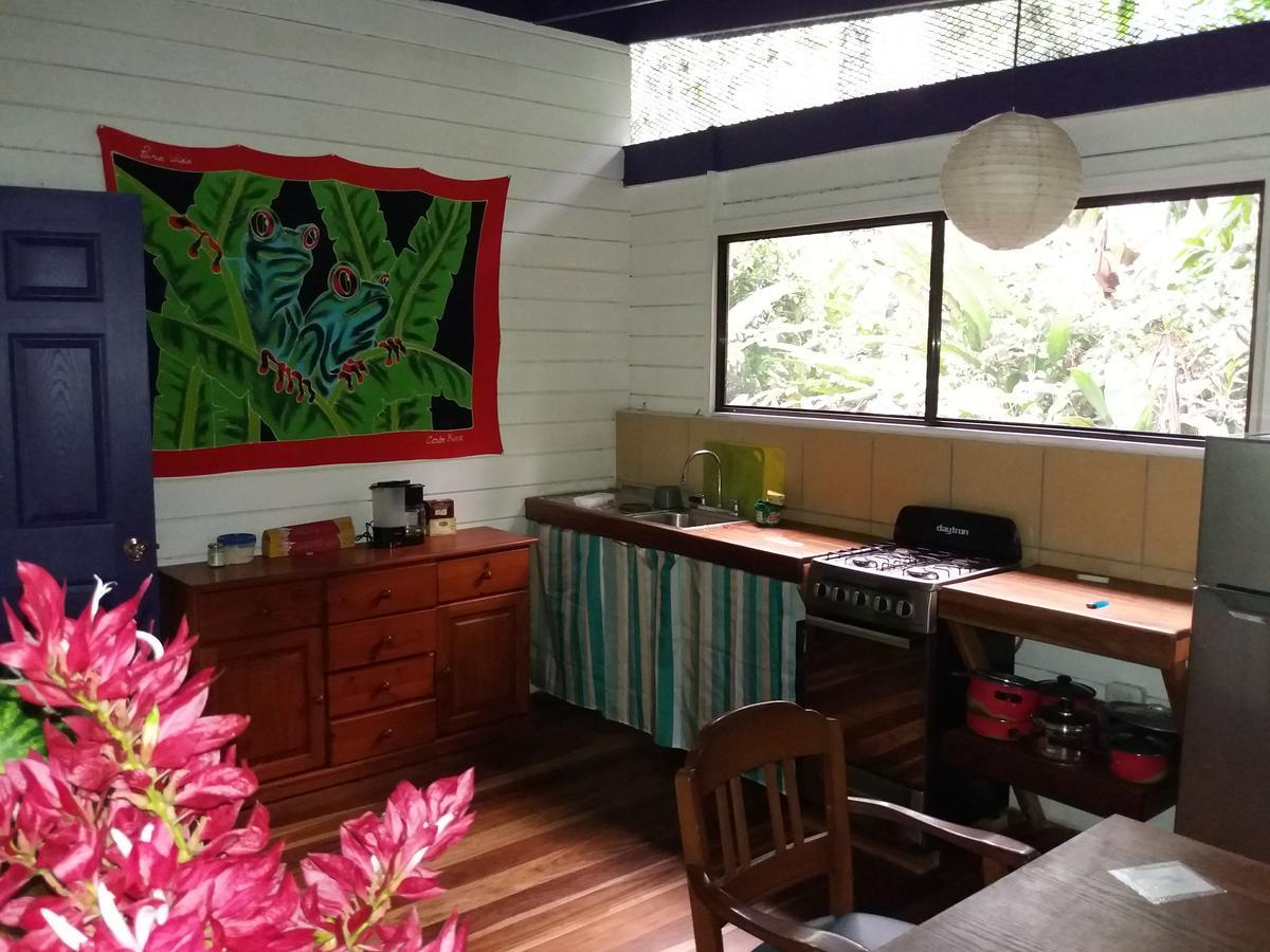 El Tucan Jungle Lodge Puerto Viejo de Talamanca Ngoại thất bức ảnh