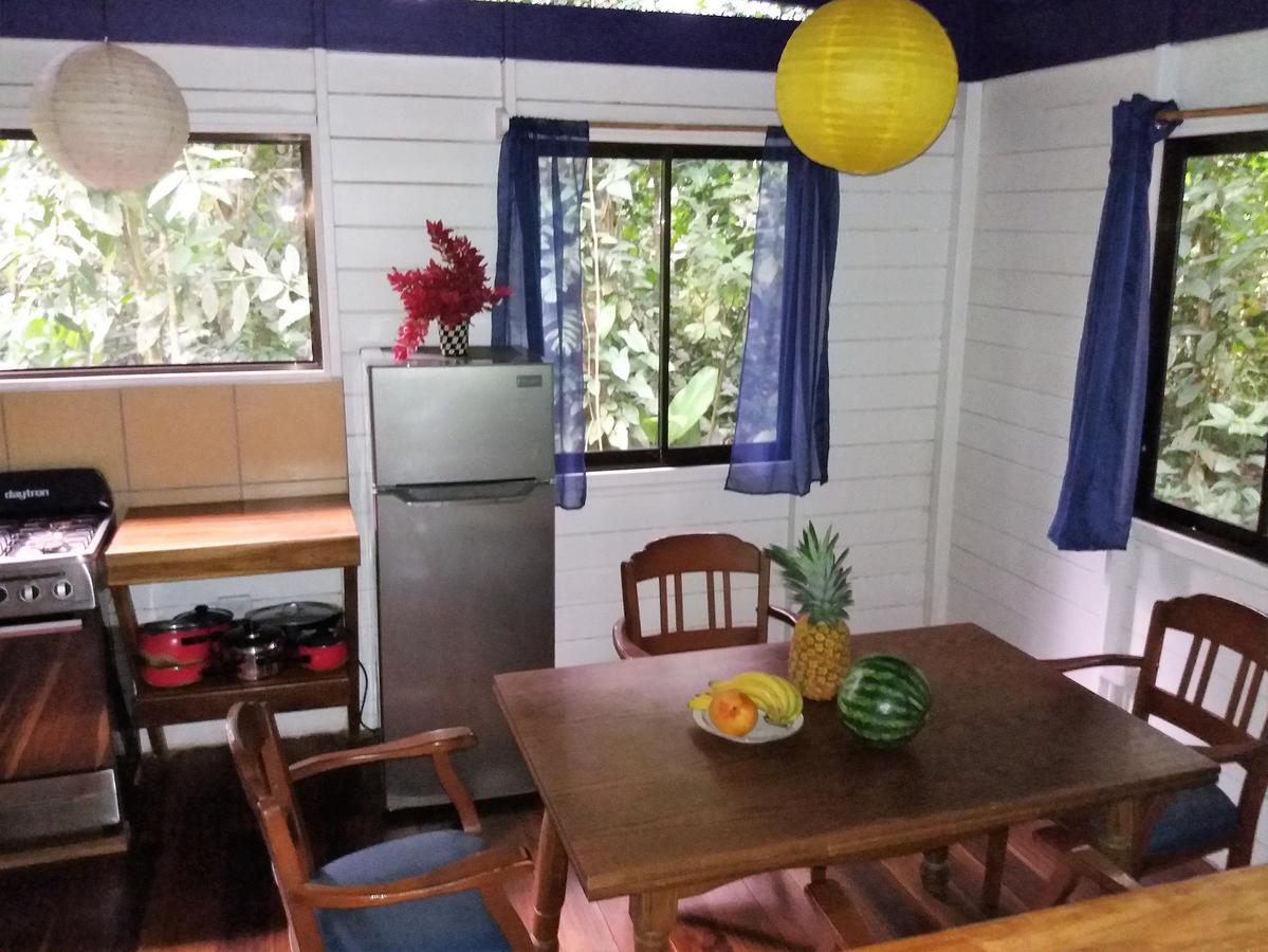 El Tucan Jungle Lodge Puerto Viejo de Talamanca Ngoại thất bức ảnh